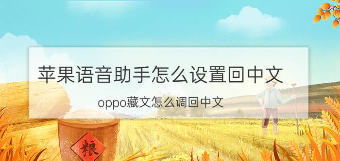 苹果语音助手怎么设置回中文 oppo藏文怎么调回中文？